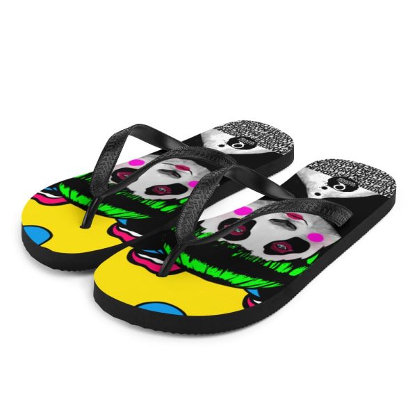 Flip-Flops - Image 2