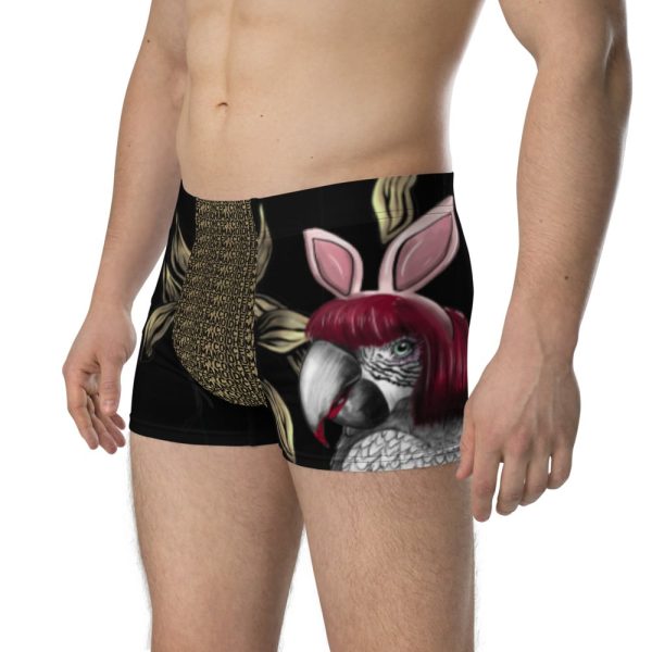 HC Men's Boxer Briefs Parrot Bunny Black